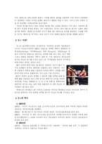 [일본 문화]일본의 스포츠-13
