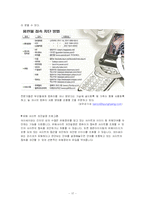 [아동교육]인터넷음란물(포르노)-17
