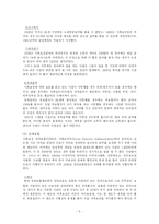 [사회복지발달사]미국의사회보장제도-6