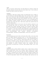[사회복지발달사]미국의사회보장제도-8