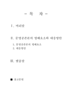 [문명의 공존 서평 국제정치학 역사학 문명의 충돌 헌팅턴 뮐러]문명의 공존 그 방해요소와 대응책 헌팅턴 뮐러 문명의 충돌-2