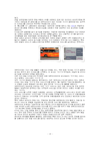 [인터넷마케팅] 야후코리아의 새로운 수익 모델 창출-12