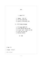 [국제경영전략] 미샤의 성공적인 글로벌 경영전략-2