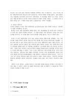 [국제경영전략] 미샤의 성공적인 글로벌 경영전략-7