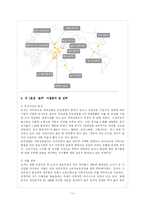 [국제경영전략] 미샤의 성공적인 글로벌 경영전략-11