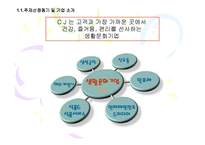 [인적자원관리] CJ 직무중심 성과주의 인사제도-5