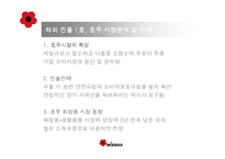 [국제경영전략] 미샤의 성공적인 글로벌 경영전략-14