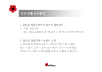 [국제경영전략] 미샤의 성공적인 글로벌 경영전략-16
