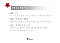 [국제경영전략] 미샤의 성공적인 글로벌 경영전략-17