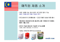 [국제경영] 매직컴의 말레이시아 진출배경 및 시장분석-4