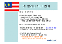 [국제경영] 매직컴의 말레이시아 진출배경 및 시장분석-11