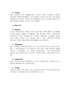 [마케팅] 치킨 프랜차이즈의 전략과 발전방향 -페리카나, 교촌치킨, 오마이치킨을 중심으로-11