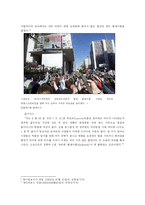 [인간행동] 이상행동으로서의 Flash Mob 플래시몹 현상 분석 -성격발달심리 및 사회체계이론적 접근-3