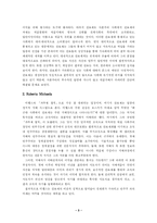 [사회학 역사] 관료제 -막스 베버-4