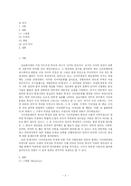 [철학] 인터넷에서의 언어사용에 대한 현상적 이해와 대안점의 모색-2