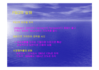 [경영사례분석]P&G의 일본진출 사례분석-13