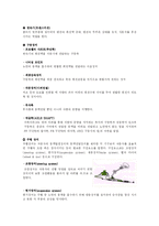 [자동차의 세계]자동차의 분류부터 기타 장치들의 설명-11