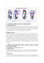 [자동차의 세계]자동차의 분류부터 기타 장치들의 설명-18