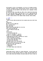 성공기업 사례 레포트-4