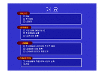마케팅 사례 - LG IBM-3