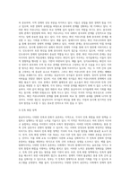 동남아의 다민족국가의 비교와 발전방향-5