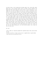 동남아의 다민족국가의 비교와 발전방향-6