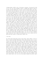 (동물의유전과개량) 유전자의 복제, 전사, 번역에 대하여 기술하시오-3