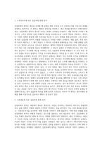 실질과세의 원칙에 대한 사례 조사-2