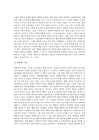 사회복지 실천에 있어 통합적 접근을 위한 다양한 이론에 대해 설명하시오-12