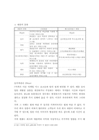 [마케팅] 나뚜루의 인지도 향상을 위한 마케팅전략-7