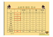 [마케팅] 이랜드 `티니위니` 마케팅전략 분석....-12