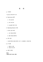 [마케팅] 싸이월드 마케팅전략 분석 및 미래-1