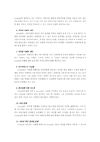 [마케팅] 싸이월드 마케팅전략 분석 및 미래-8