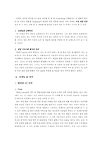[마케팅] 싸이월드 마케팅전략 분석 및 미래-13