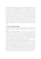 [마케팅] 싸이월드 마케팅전략 분석 및 미래-19