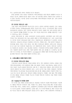 [인터넷기업] 싸이월드 경영분석-4