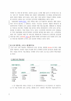 [마케팅] 웰빙의 기능성식품 CJ `팻다운`과 `셀얼라이브` 마케팅전략 분석-3