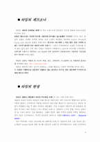 [마케팅](주)한섬 타임`TIME`의 현재와 성공요인-2