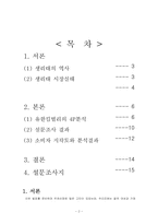 [소비자행동] 화이트 생리대 소비자인지도분석-2