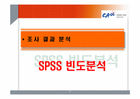 [마케팅조사론] 중앙대학교 경쟁력 강화방안-9