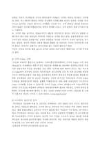 [국제경영] 김치산업의 글로벌전략-2