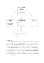 [국제마케팅] 보아 일본진출 성공전략-8