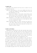 [국제마케팅] 보아 일본진출 성공전략-9
