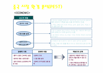 [온라인게임] 액토즈소프트 중국진출전략-11