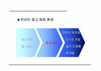 [인터넷비즈니스] 온라인광고(주) 디킴스 `DKIMS` 성공요인분석-7
