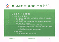[마케팅] 웰빙트렌드 CJ 팻다운, 그리고 셀얼라이브 마케팅분석-19