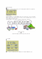 [환경오염]산성비에 관한 분석 및 고찰-2