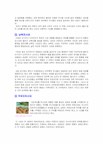 [일본사]일본의 역사에 관한 조사-5