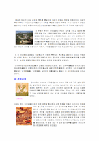 [일본사]일본의 역사에 관한 조사-6