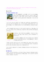 [일본사]일본의 역사에 관한 조사-7